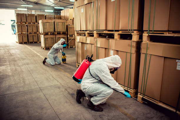 Best Best Pest Control Companies  in Yankton, SD