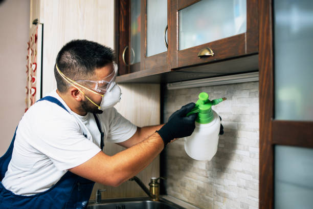Best Local Pest Control Services  in Yankton, SD