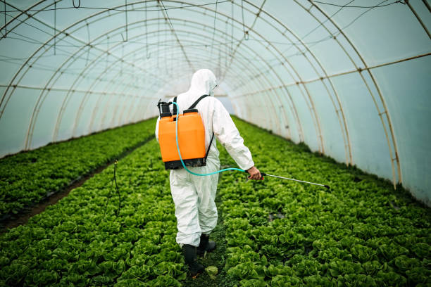 Best Mosquito Control Services  in Yankton, SD