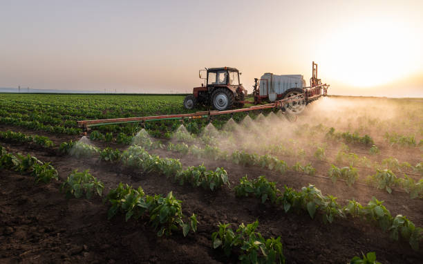 Best Residential Pest Control  in Yankton, SD