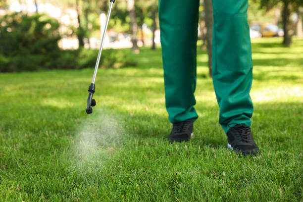 Trusted Yankton, SD Pest Control Experts