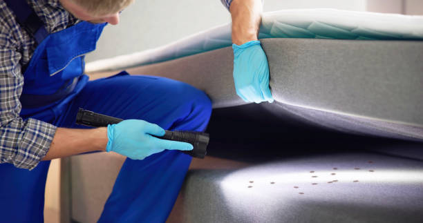 Best Exterminator Services  in Yankton, SD
