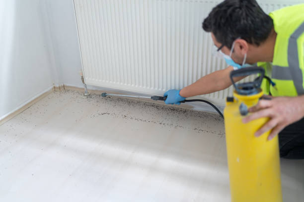 Best Affordable Pest Control Services  in Yankton, SD