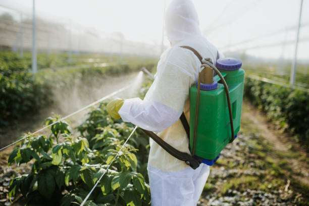 Best Pest Prevention Services  in Yankton, SD
